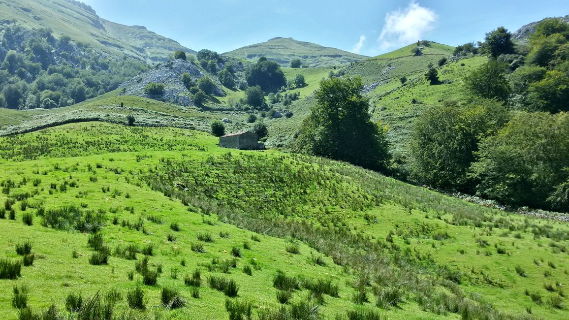 Nel Parque Natural de Somiedo 2018 