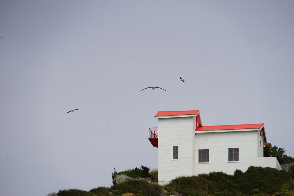 Timaru - Oamaru - Moeraki - Dunedin - Otago Peninsula - Oamaru