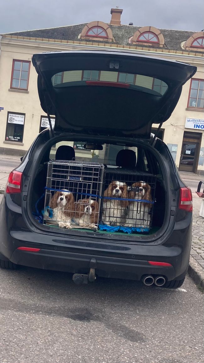 Stenungsögården => Bomstadbaden