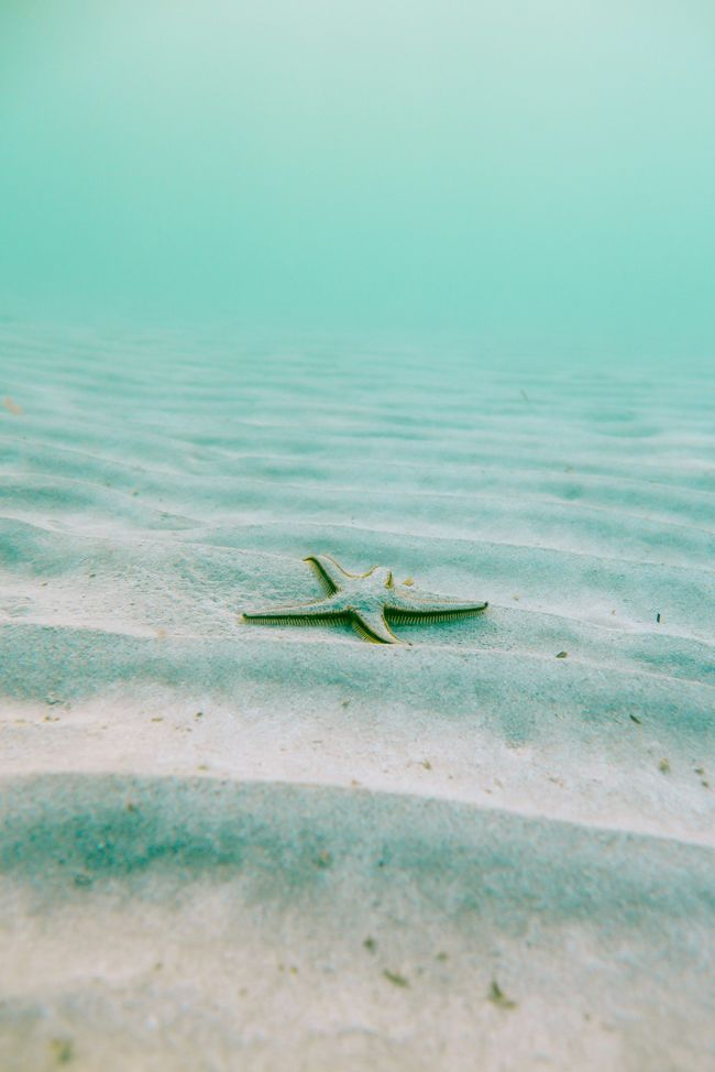 (Foto di Linus Nylund, Unsplash)