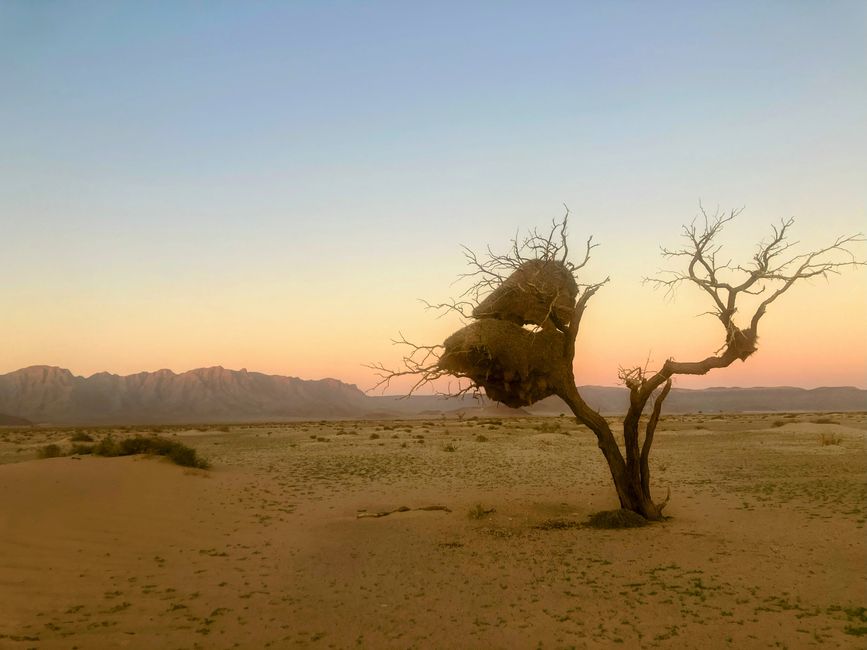 Il deserto namibiano - un mare di sabbia