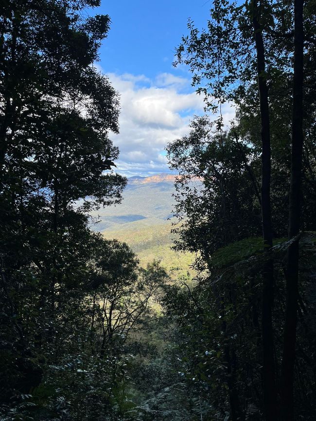 蓝山与邦迪海滩