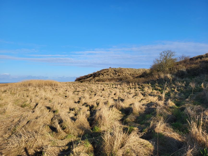 Morsum Cliff