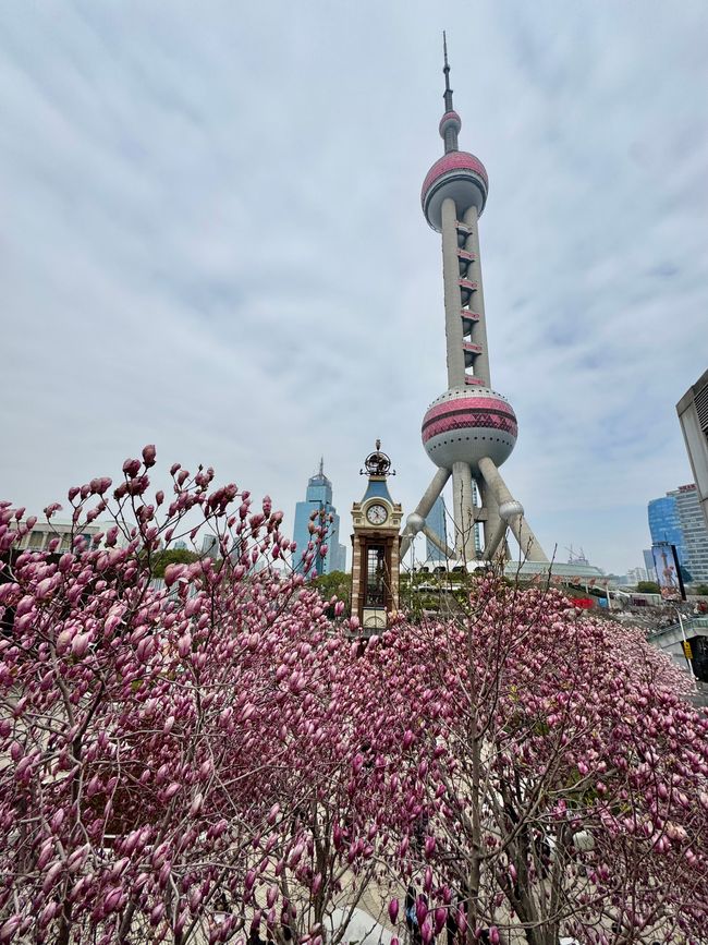 Part 5 SHANGHAI