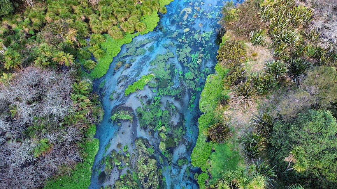 Putaruru Blue Springs aus Drohnen-Sicht