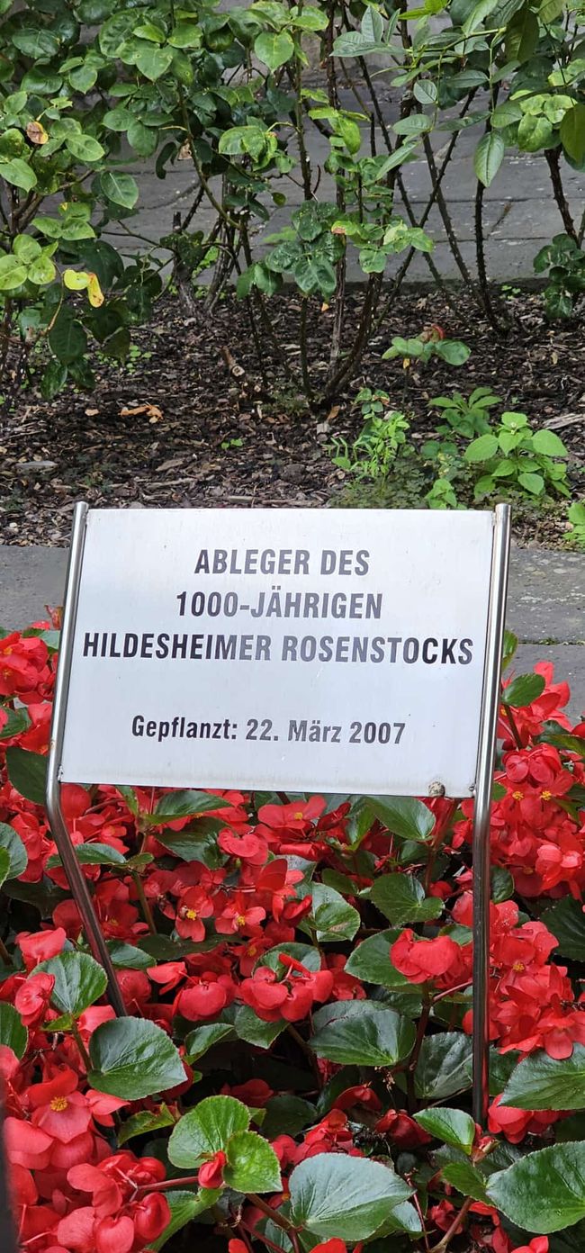 Aachen - definitely worth a visit!