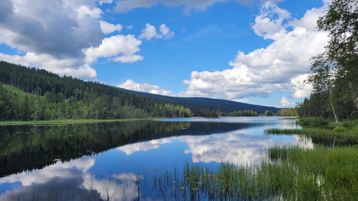 Oslo Gjøvik 9-16 de julio de 2024/13 de julio