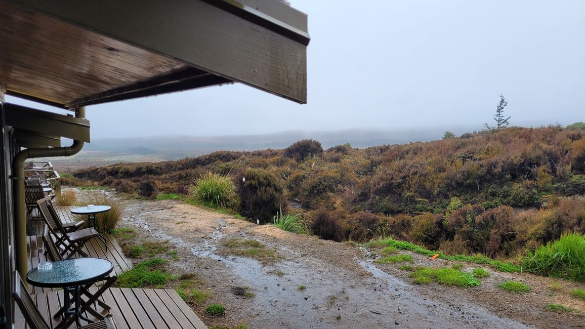 Still without clarity... Rain and mist without end! - Taranaki NP