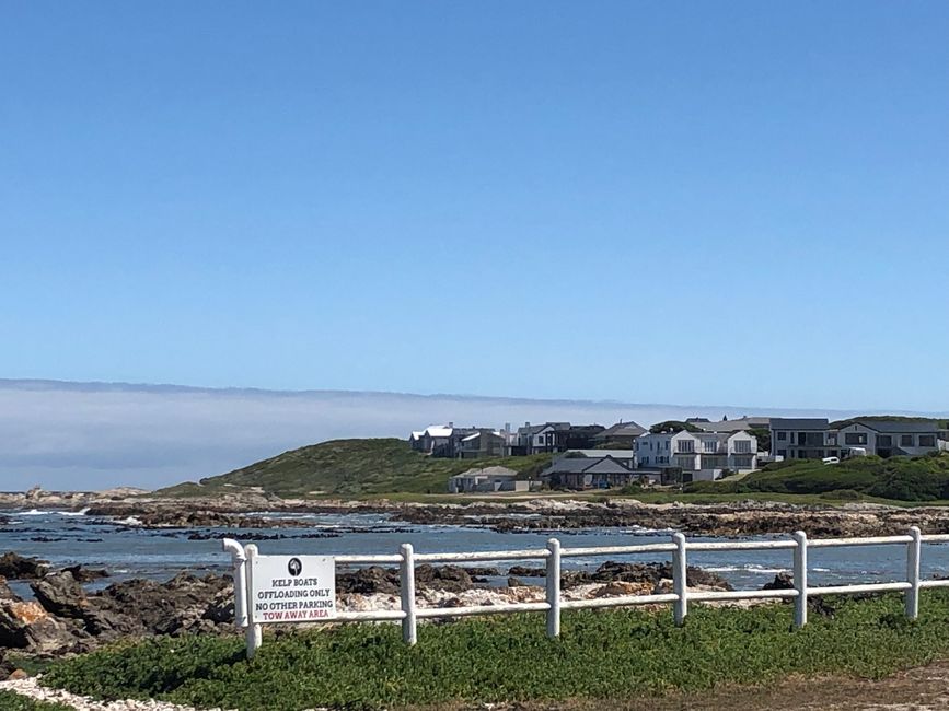 De Kelder´s und die Wale