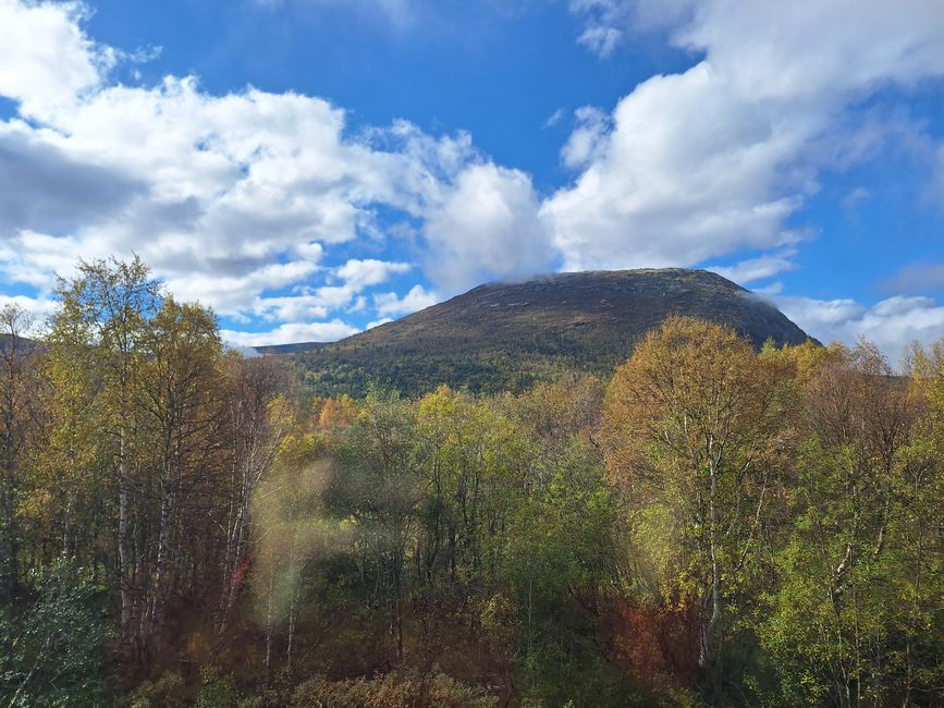 Etiqueta 14 Viaje en tren Bodö-Trondheim-Andalsnes