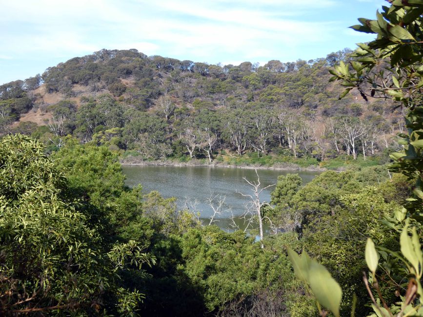 Tower Hill Wildlife Reserve