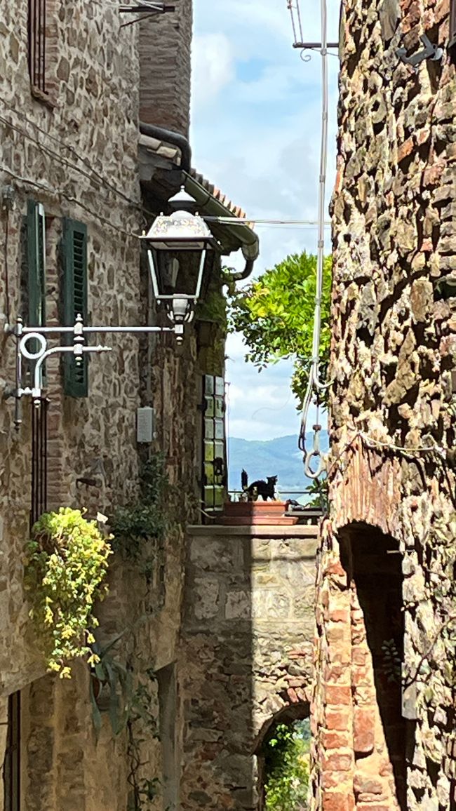 Montemerano