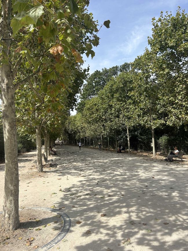 Jardin des Plantes