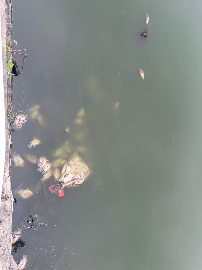 河内