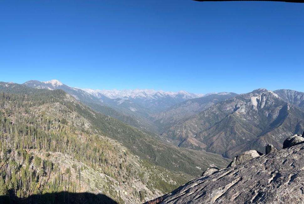 Sequia National Park
