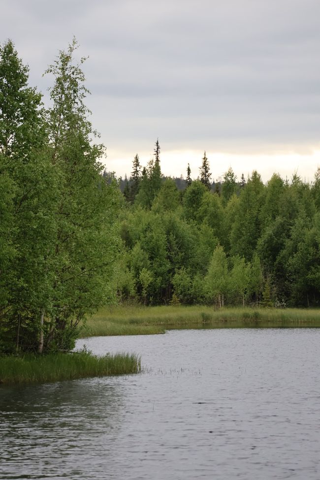 Finnland hier oben besteht aus Wald und Wasser