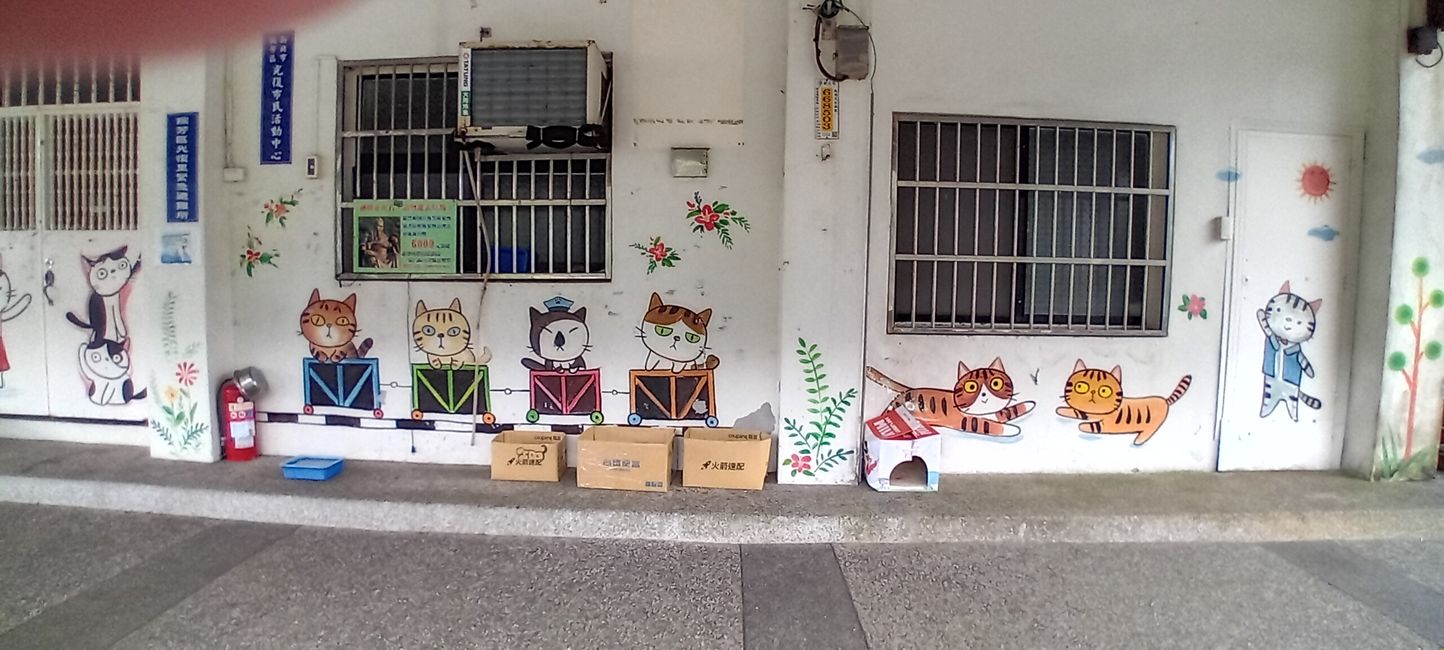 Houtong 🐱 Katzenstadt