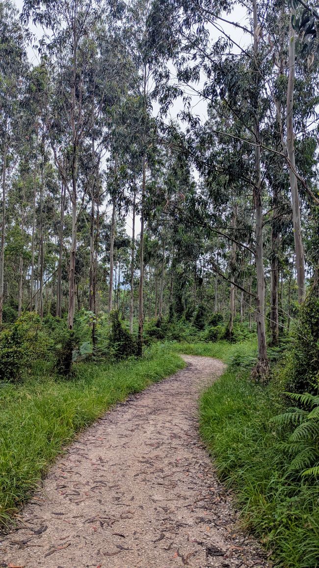 12. Etappe Camino del Norte von Pendueles nach Barro