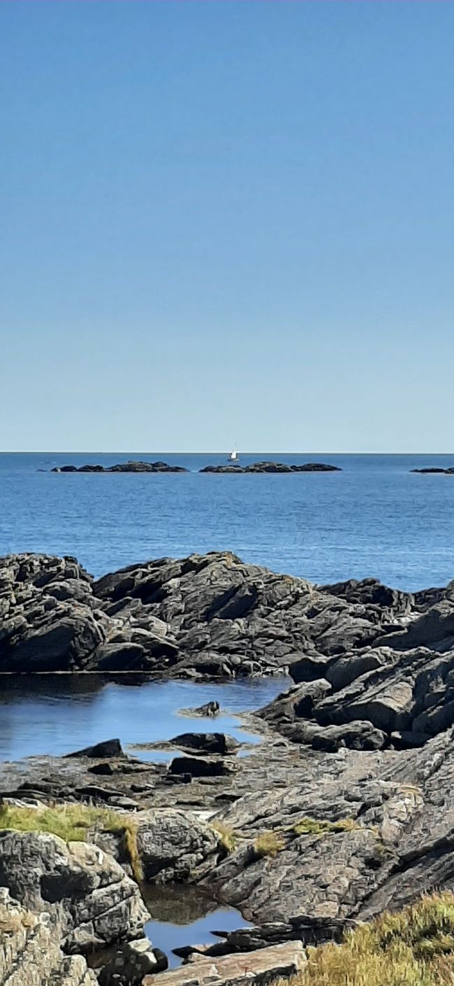 Segelboot