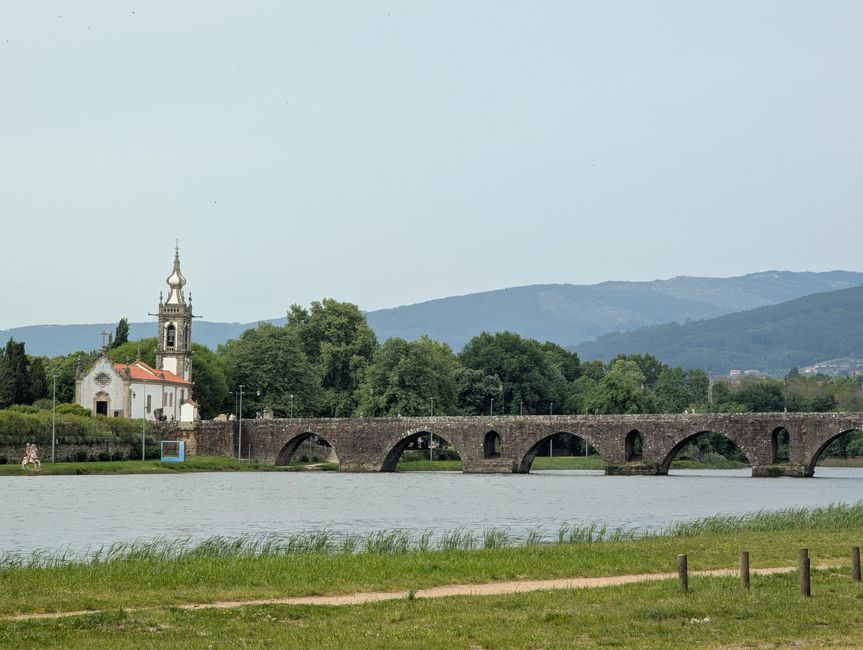 Biotopo dei pellegrini in Portogallo (Camino Portugues 4)