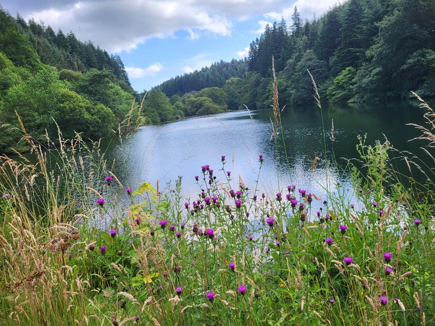 Staindale Lake