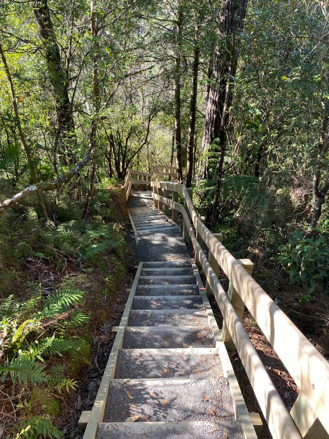 Omanawa Falls Track