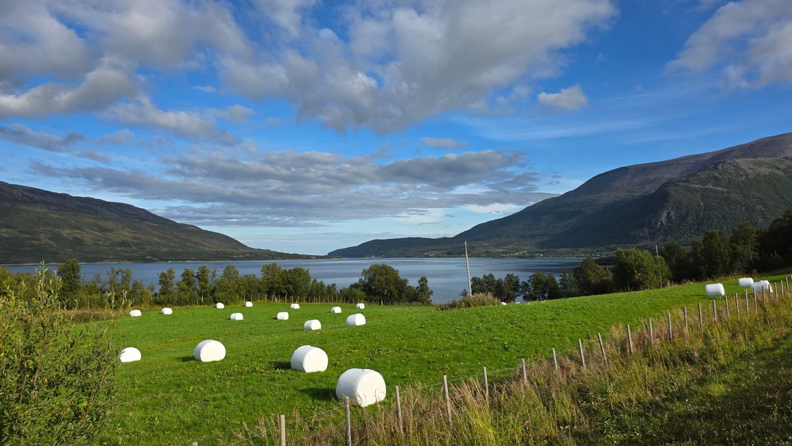 Norwegen-Nordkapp 1-17.September 2025
3.September