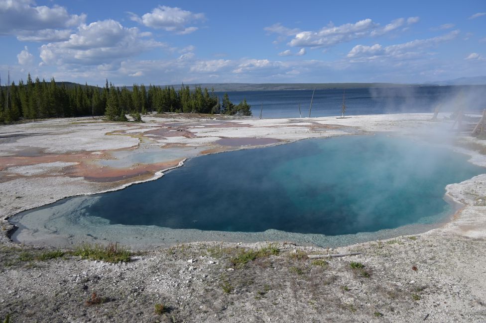Bassin de geysers West Thumb