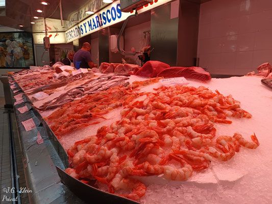 Valencia Stadt und Botanischer Garten