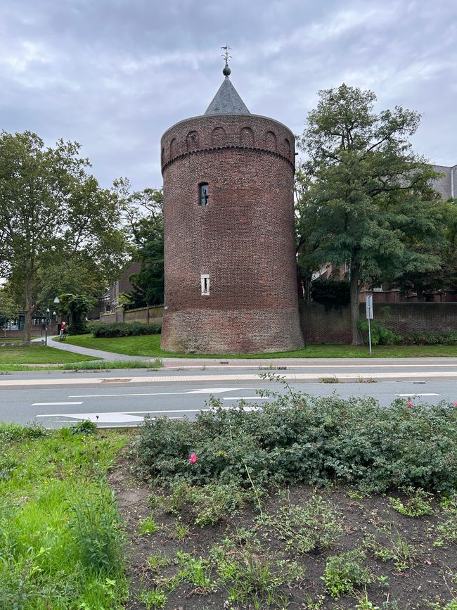 Tag 9: Hunsel - Home Teil 1