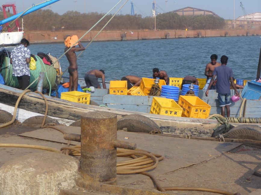Au port de pêche