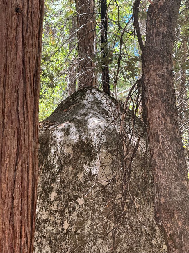 Yosemite National Park