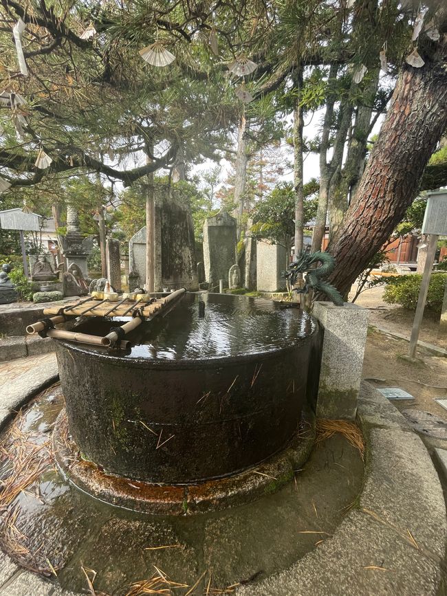 26. Kapitel: 
Frühstücksbuffet und Amanohashidate-Landzunge: Beide atemberaubend