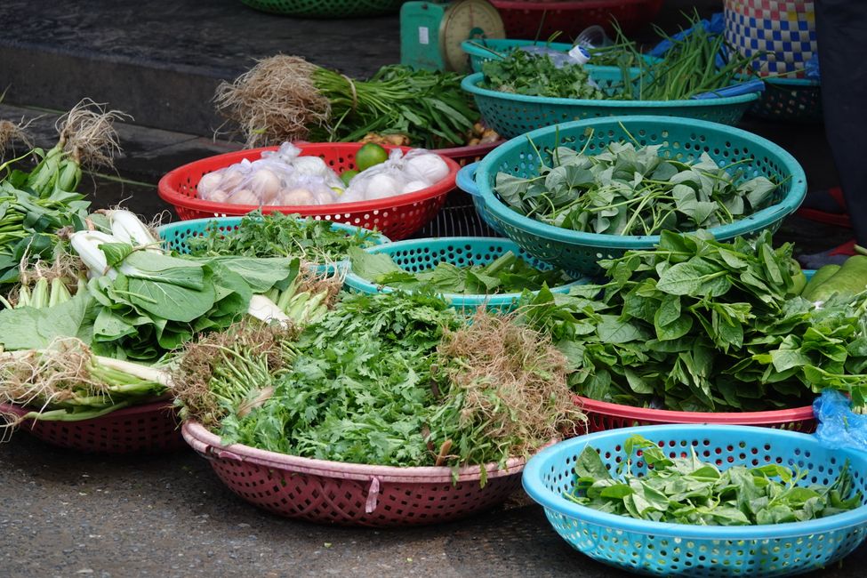 Hoi An is diverse in many ways
