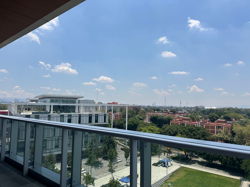 Mi universidad