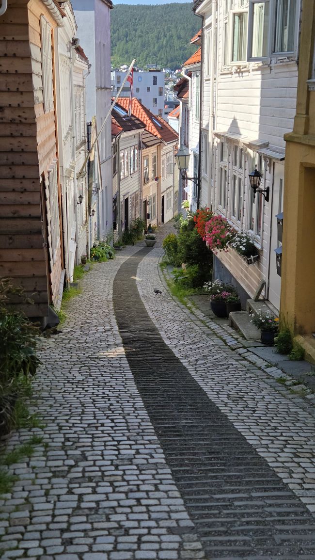 Visit to Bergen - Radtour - Fitjar