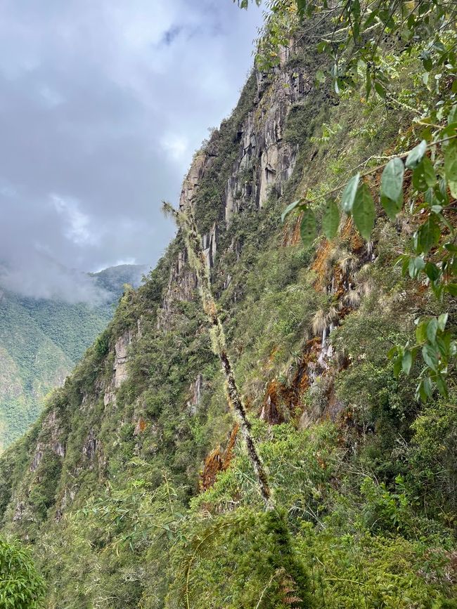 👷‍♂️标签 31-1 (3.11.) 马丘比丘，登上惠纳比丘山
