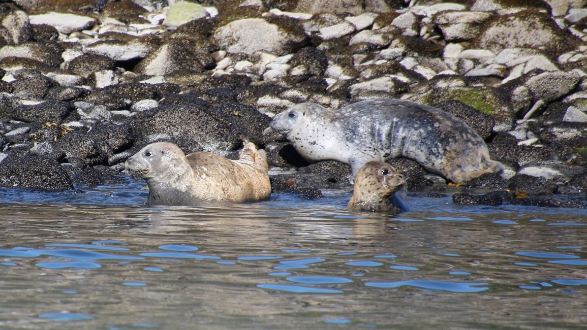 Day 24: Trip to Juneau: Glacier Outburst & 20,000 Tourists