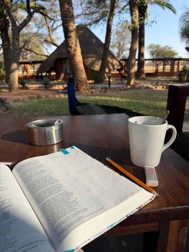 Namibia 2k25 🦓🏜️🐘