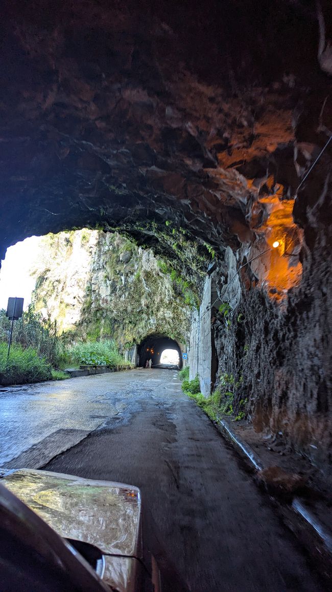 Day 15: The South Coast with Waterfall, Skywalk & Cristo Rei