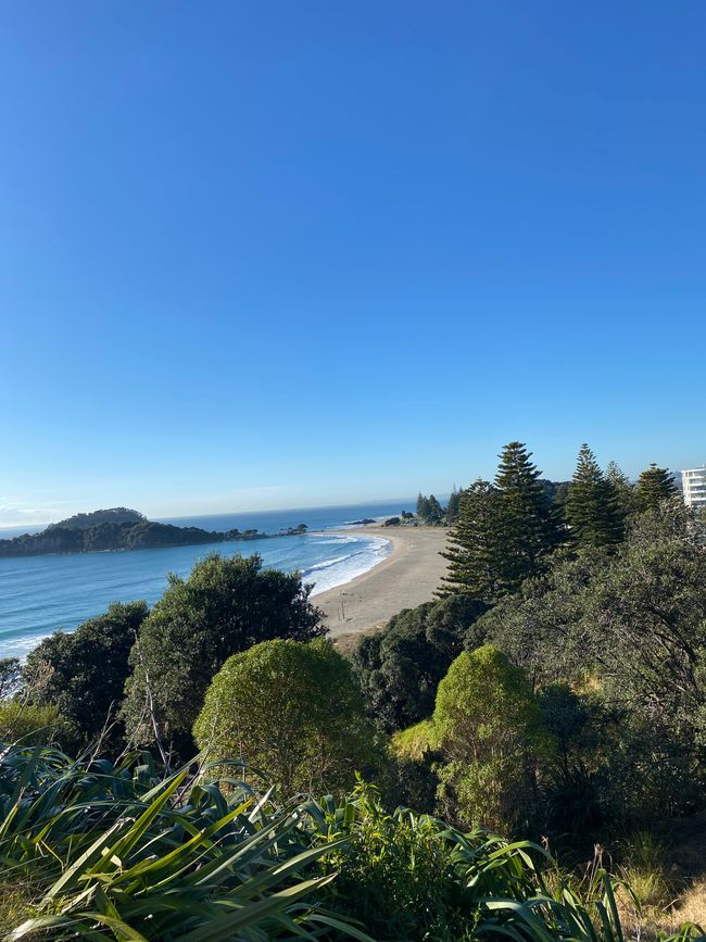 海滩景观