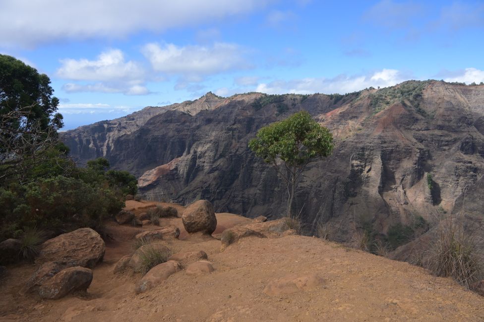 Canyon de Waimea