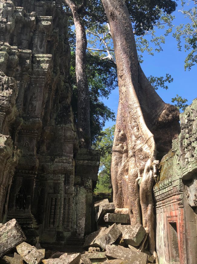Tempel Ta Prohm