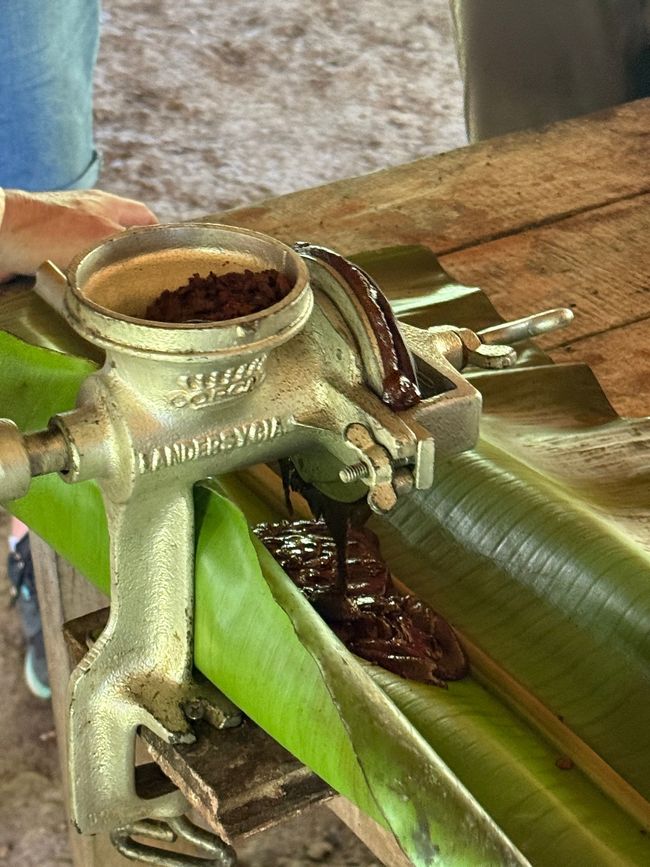 Bereitung der Kakaomasse