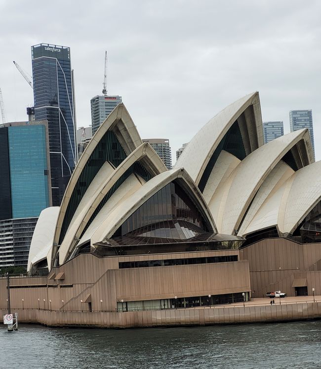 Tag 97/98 (Sydney) und 99 bis 101 (Seetage) von 175: Kreuzfahrt rund um die Welt - Sydney/Australien und Seetage