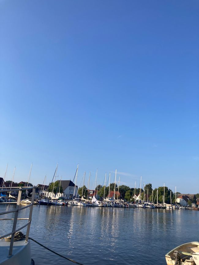 Greifswald und über die Freude im Großen und im Kleinen