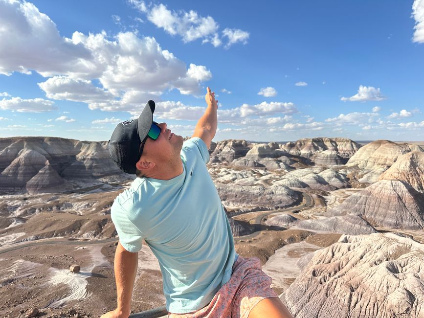 Arizona/ New Mexico/ Petrified Forest/White Sands