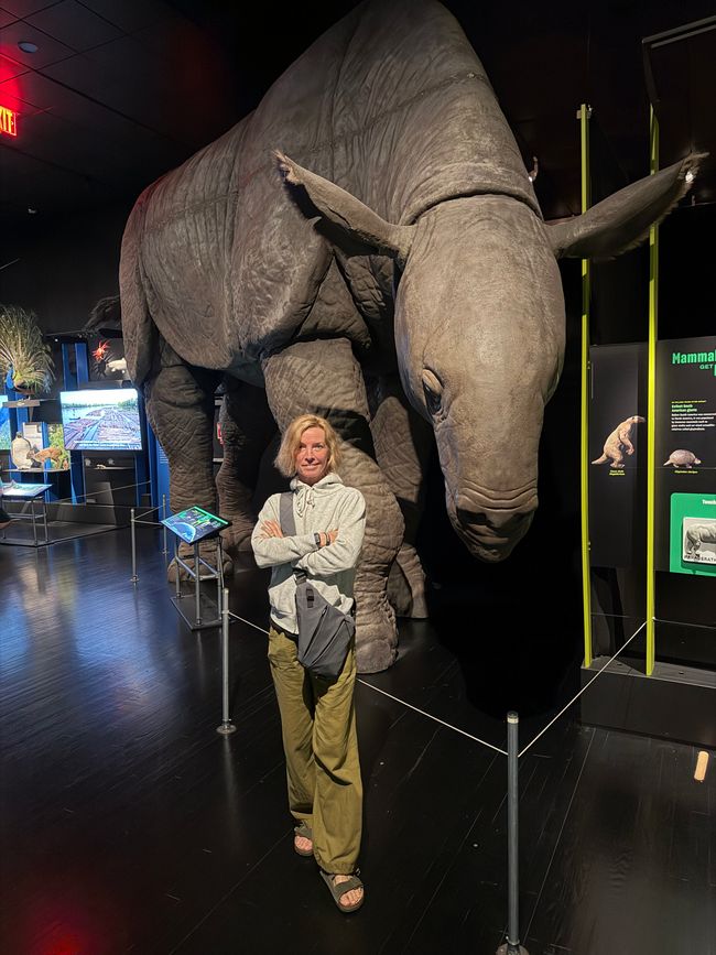 "TAGS IM MUSEUM"