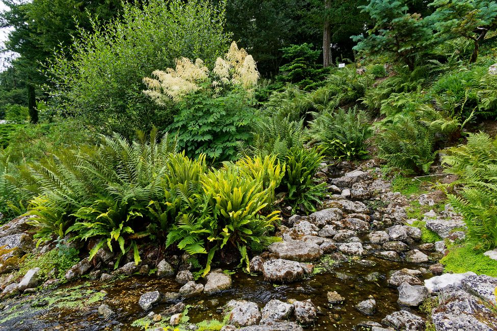 Parc Floral de La Source