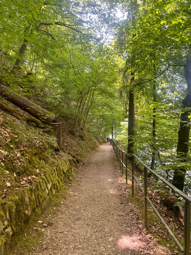 19b Domspatzen und Walhalla